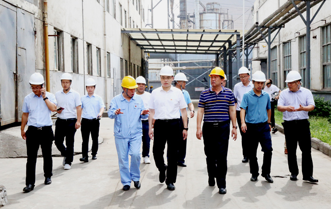 新安縣委副書(shū)記、縣長(zhǎng)王智一行到萬(wàn)基控股集團(tuán)調(diào)研