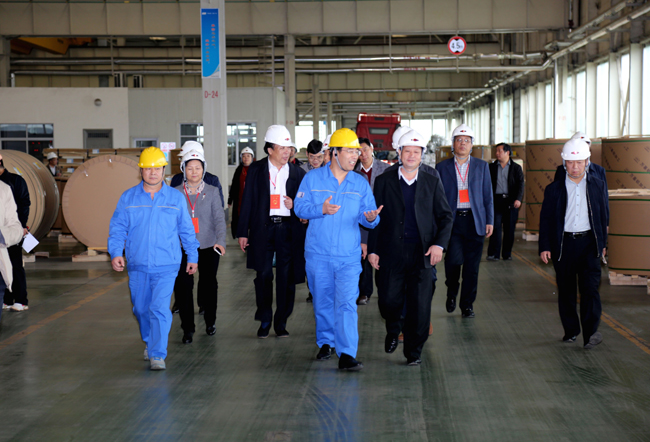 駐洛陽市省、市人大代表到萬基控股集團(tuán)參觀